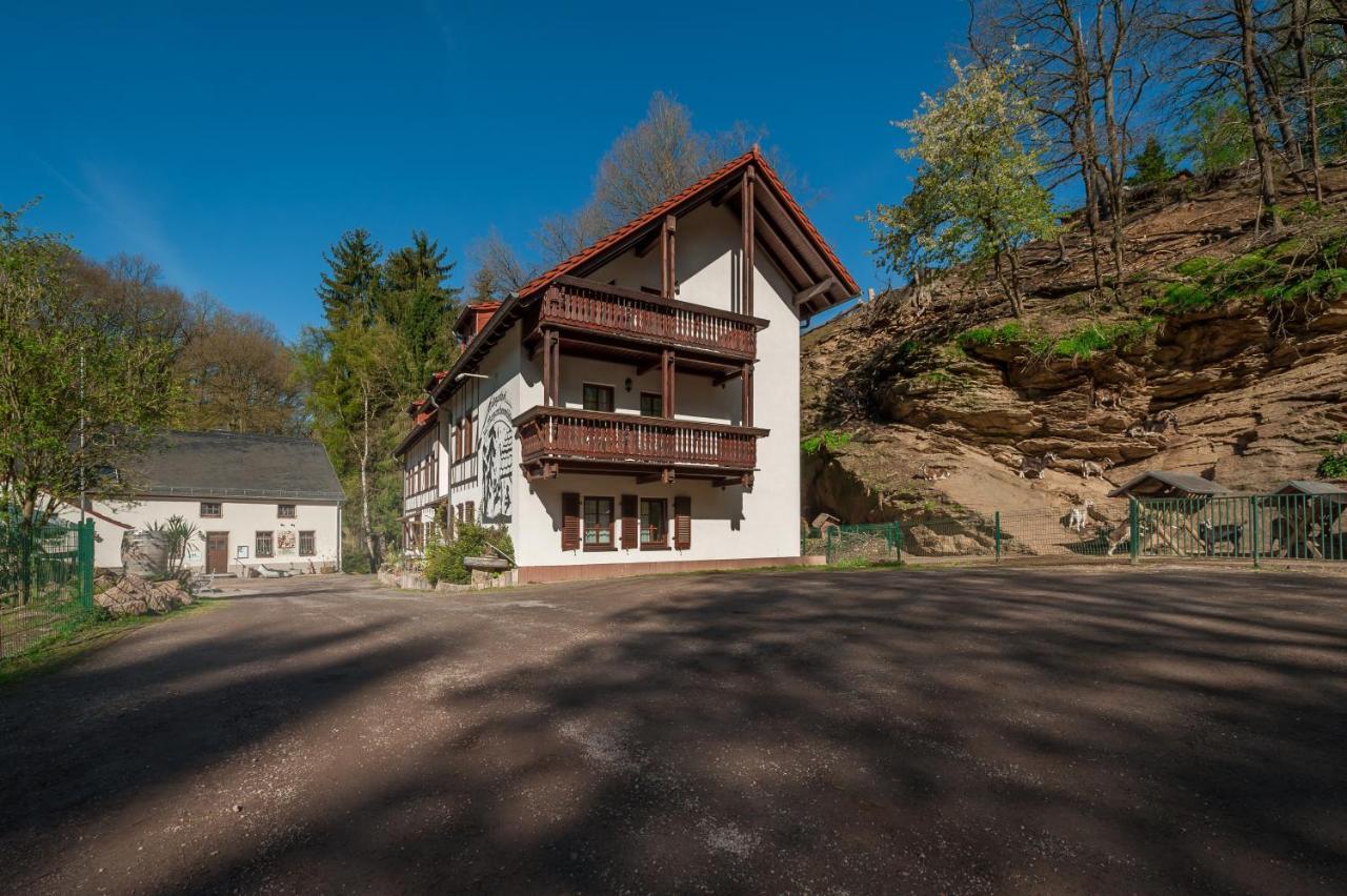 Zur Margarethenmuehle - Landgasthof Und Waldhotel Rosswein المظهر الخارجي الصورة