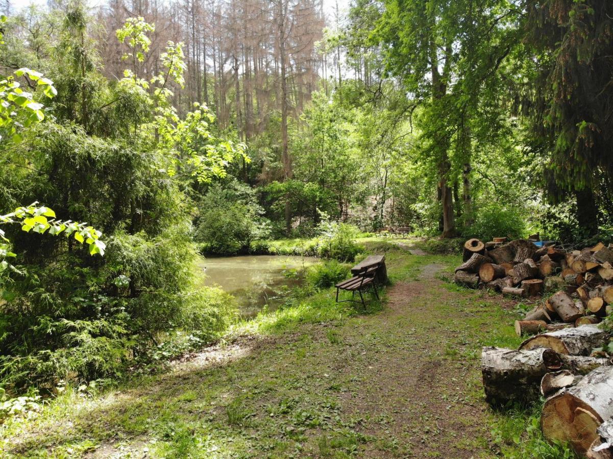 Zur Margarethenmuehle - Landgasthof Und Waldhotel Rosswein المظهر الخارجي الصورة