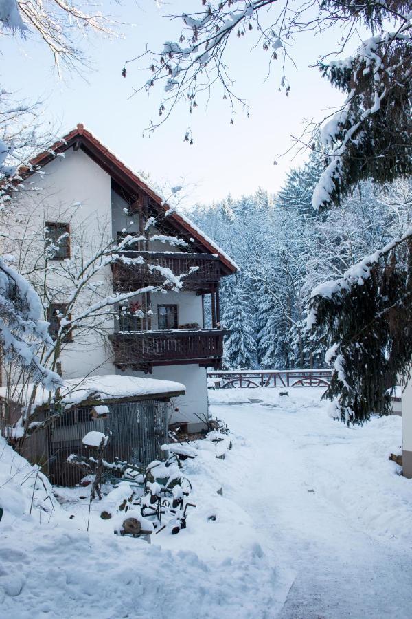 Zur Margarethenmuehle - Landgasthof Und Waldhotel Rosswein المظهر الخارجي الصورة
